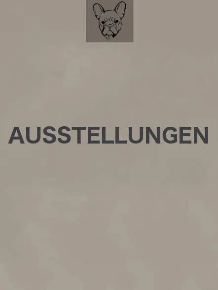 Ausstellungen