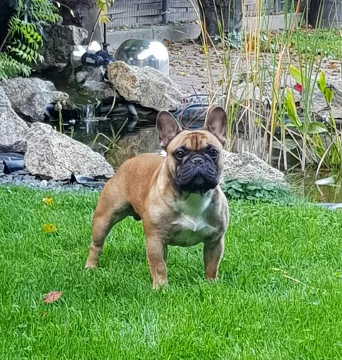 manny2